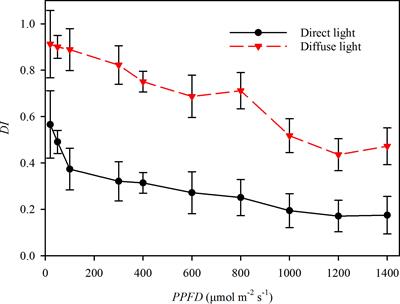 The asymmetric photosynthetic characteristics of the isobilateral sorghum leaves under the illumination of the diffuse light